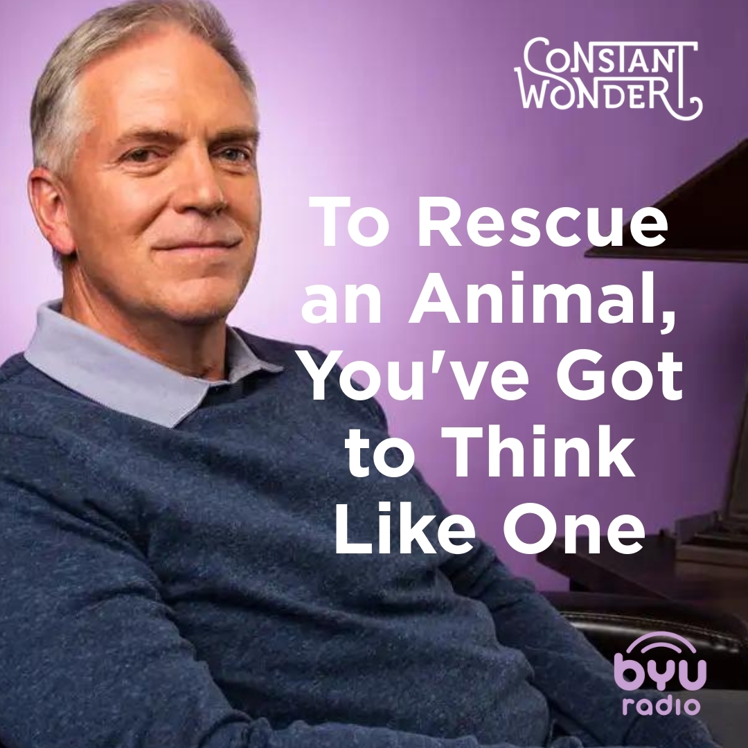 Read more about the article To Rescue an Animal, You’ve Got to Think Like One