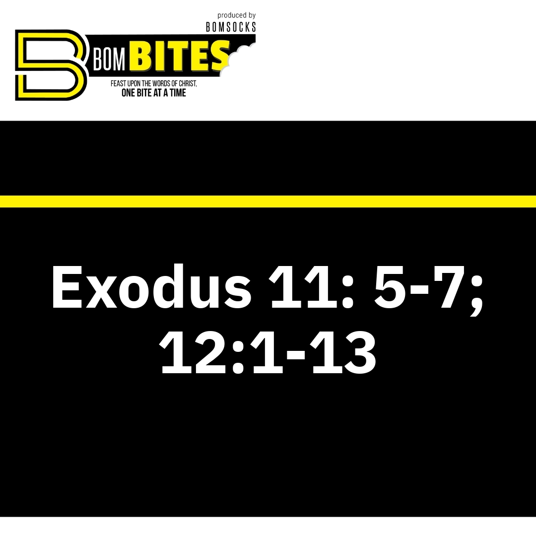 Read more about the article Exodus 11: 5-7; 12:1-13