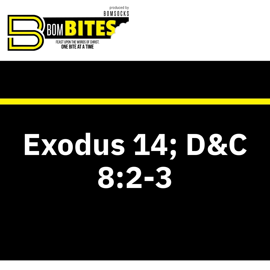 Read more about the article Exodus 14; D&C 8:2-3