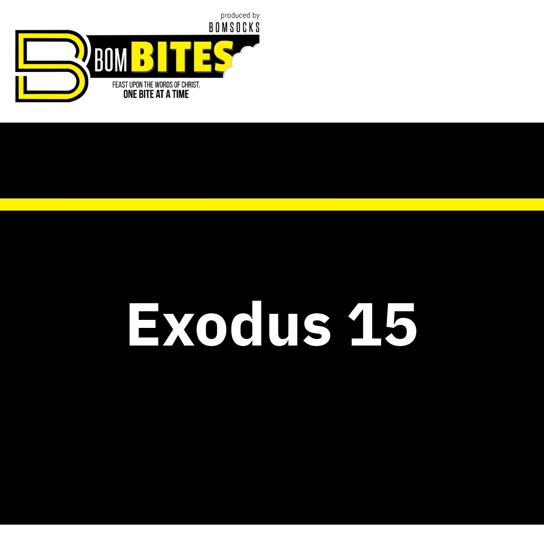 Read more about the article Exodus 15