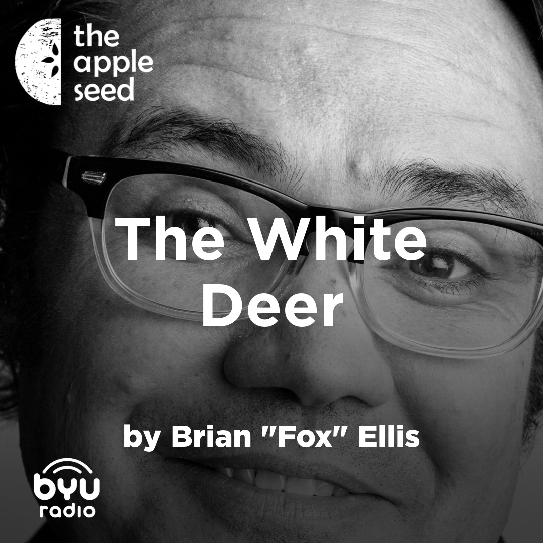 Read more about the article The White Deer