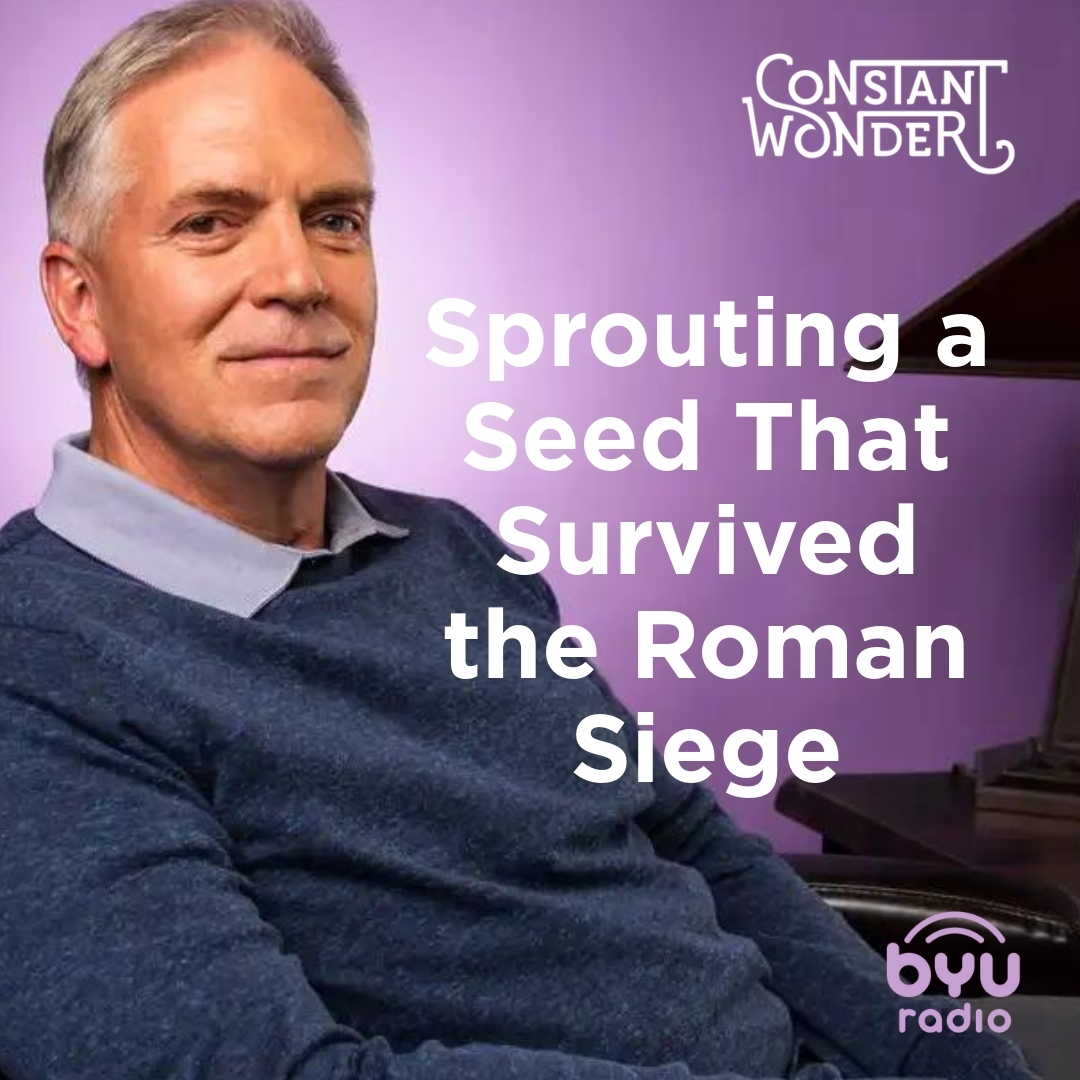 Read more about the article Sprouting a Seed That Survived the Roman Siege