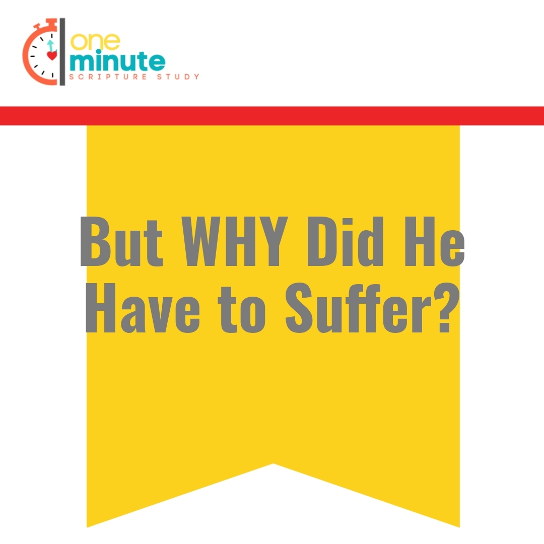 Read more about the article But WHY Did He Have to Suffer?