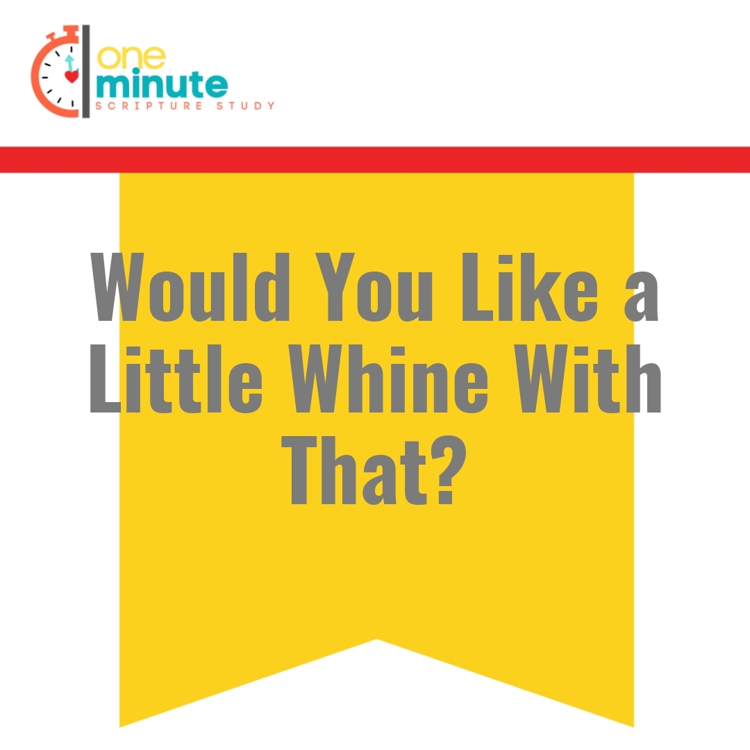 Read more about the article Would You Like a Little Whine With That?