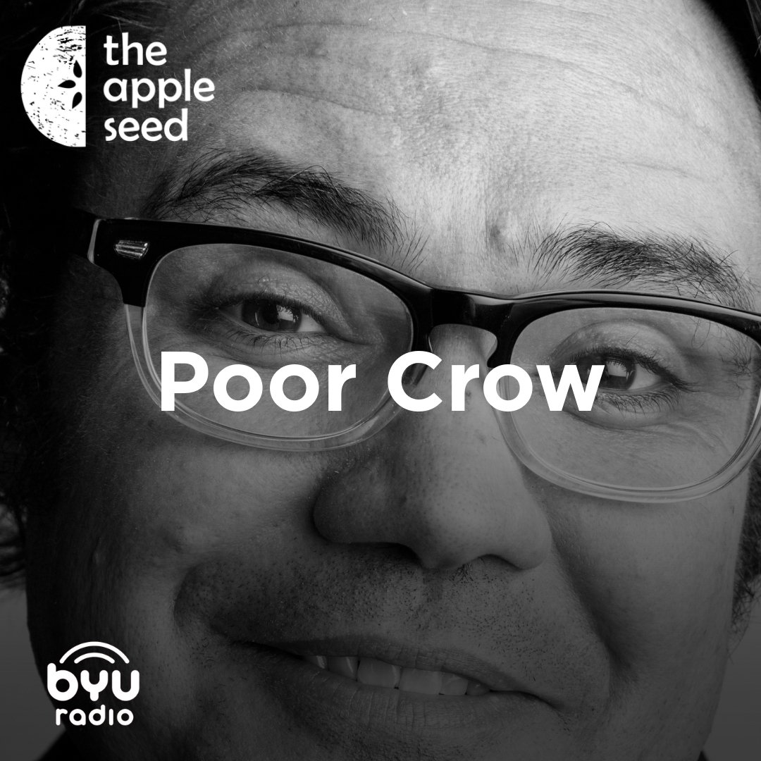 Read more about the article Poor Crow