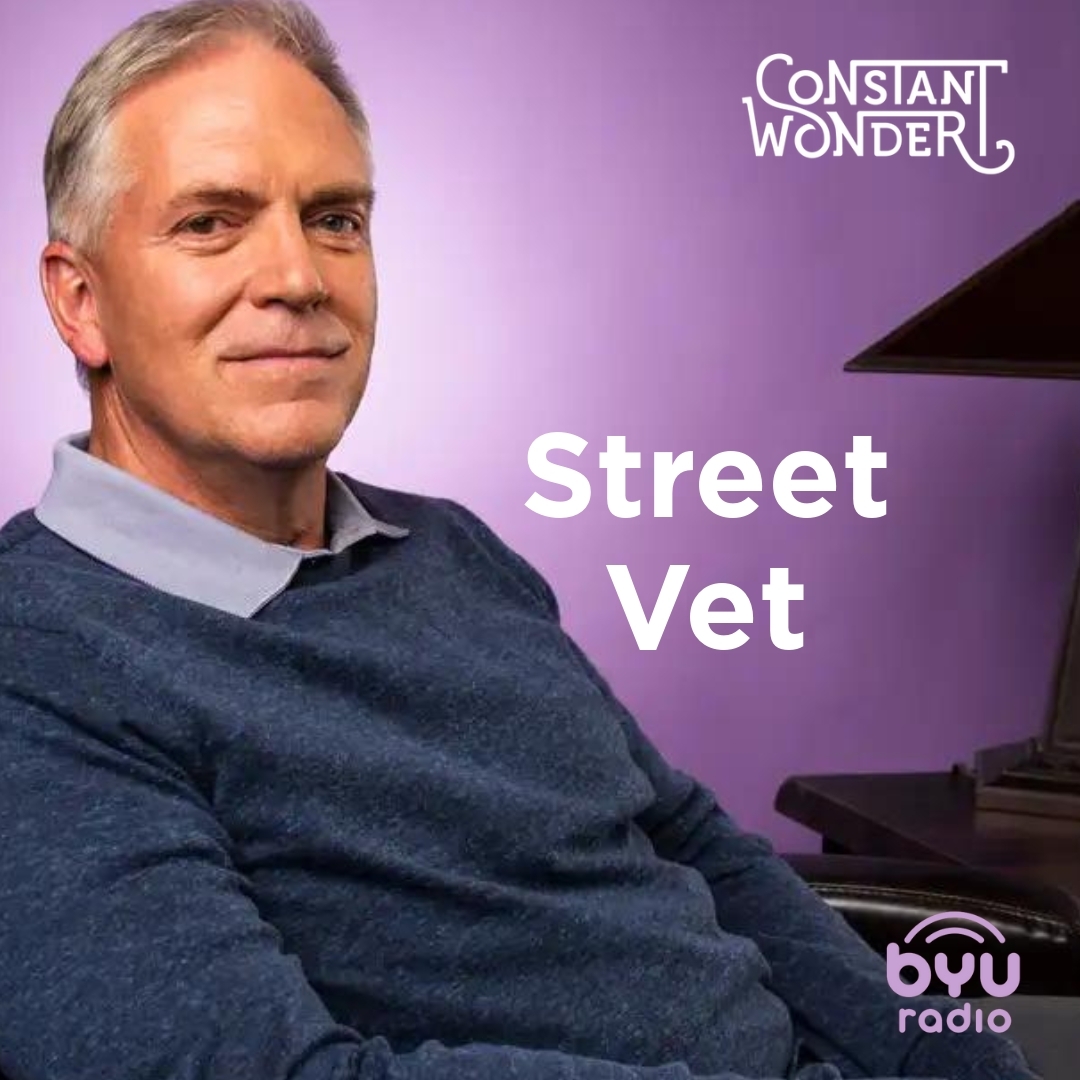Read more about the article Street Vet