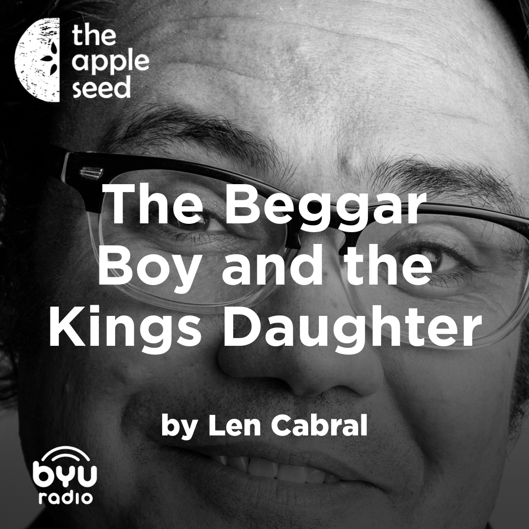 Read more about the article The Beggar Boy and the Kings Daughter