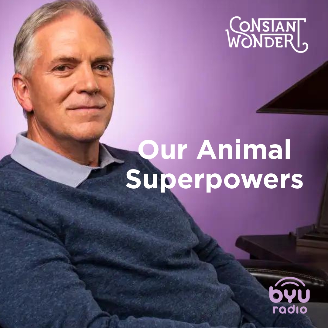 Read more about the article Our Animal Superpowers
