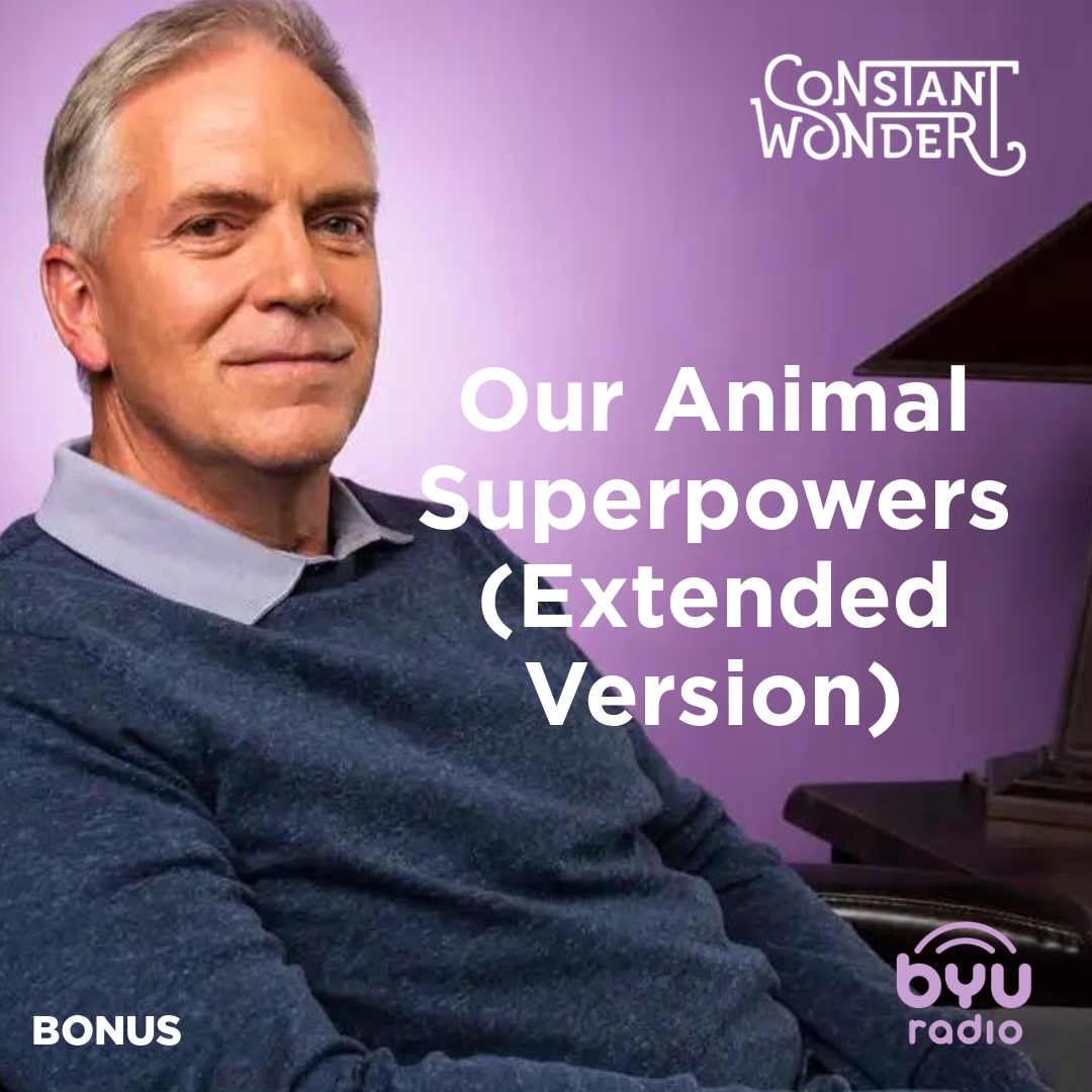 Read more about the article Our Animal Superpowers (Extended Version)