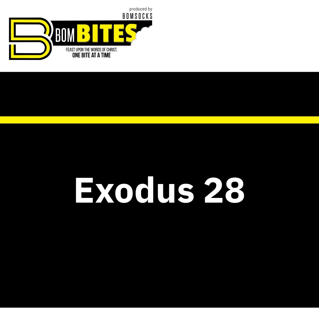 Read more about the article Exodus 28