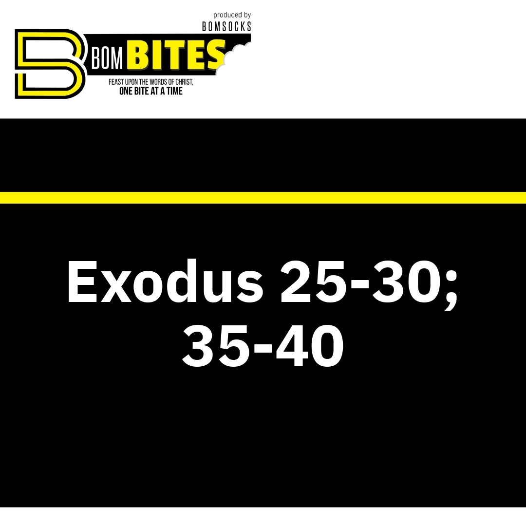Read more about the article Exodus 25-30; 35-40