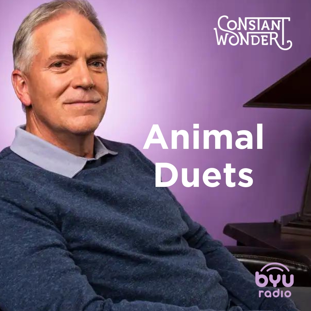 Read more about the article Animal Duets