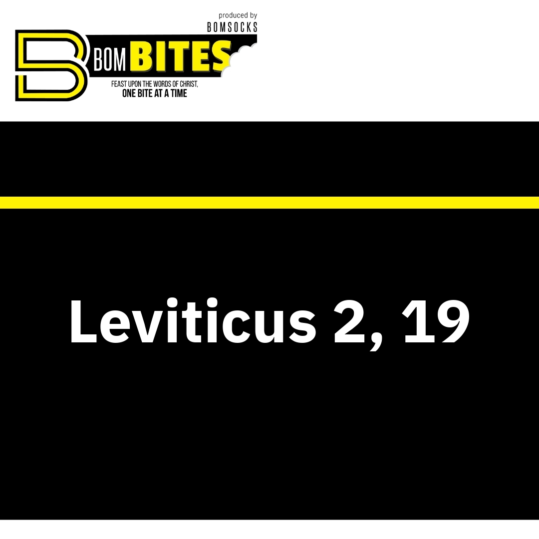 Read more about the article Leviticus 2, 19