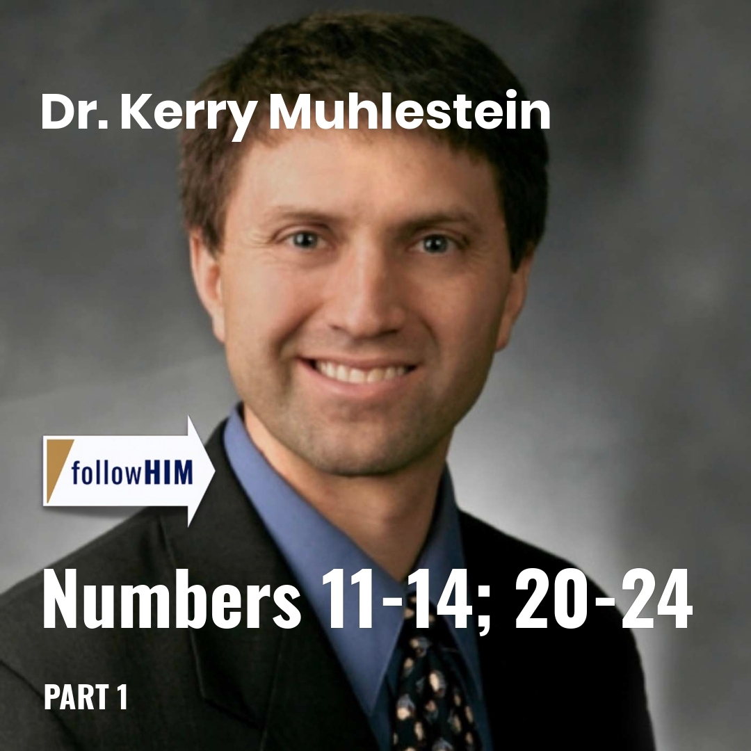 Read more about the article Numbers 11-14; 20-24: Part 1