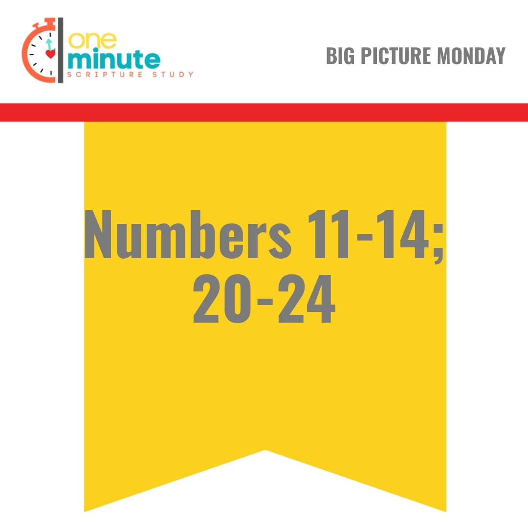 Read more about the article Numbers 11-14; 20-24