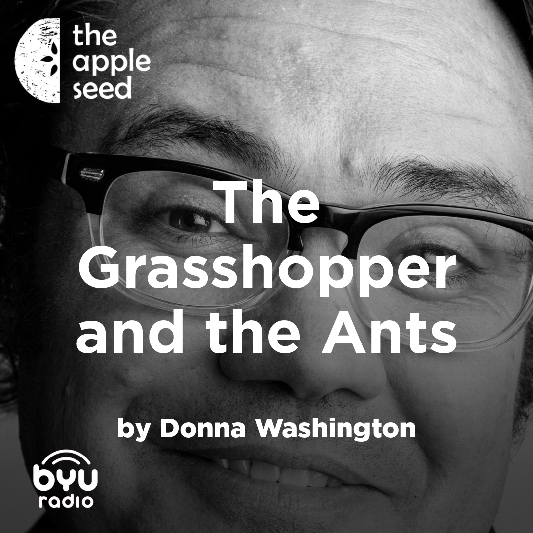 Read more about the article The Grasshopper and the Ants
