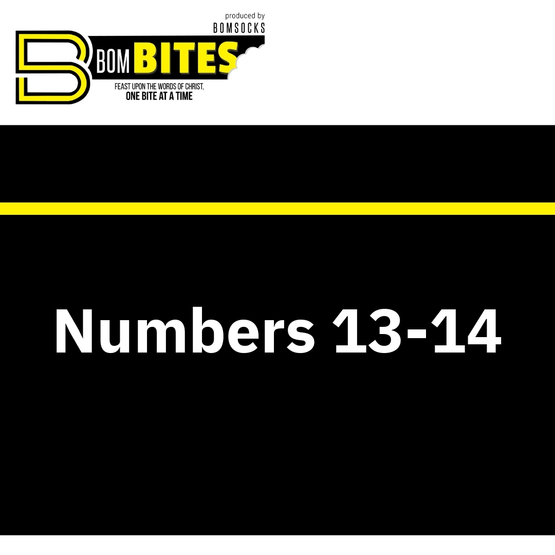 Read more about the article Numbers 13-14