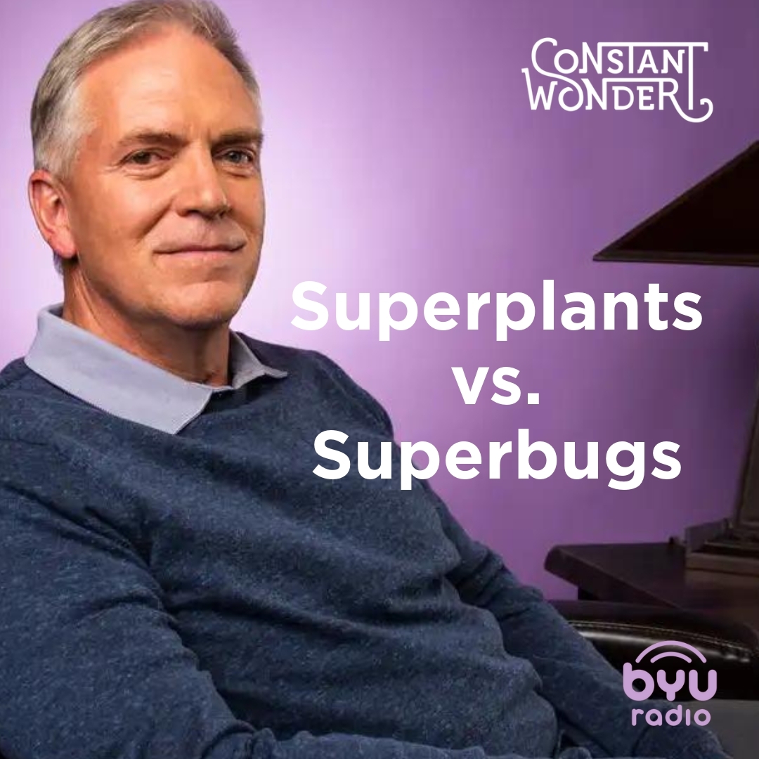 Read more about the article Superplants vs. Superbugs