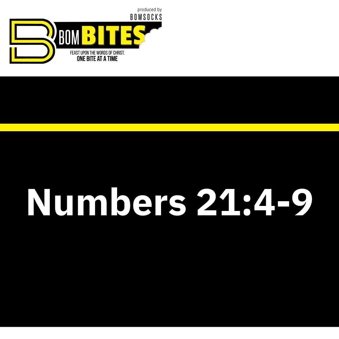 Read more about the article Numbers 21:4-9