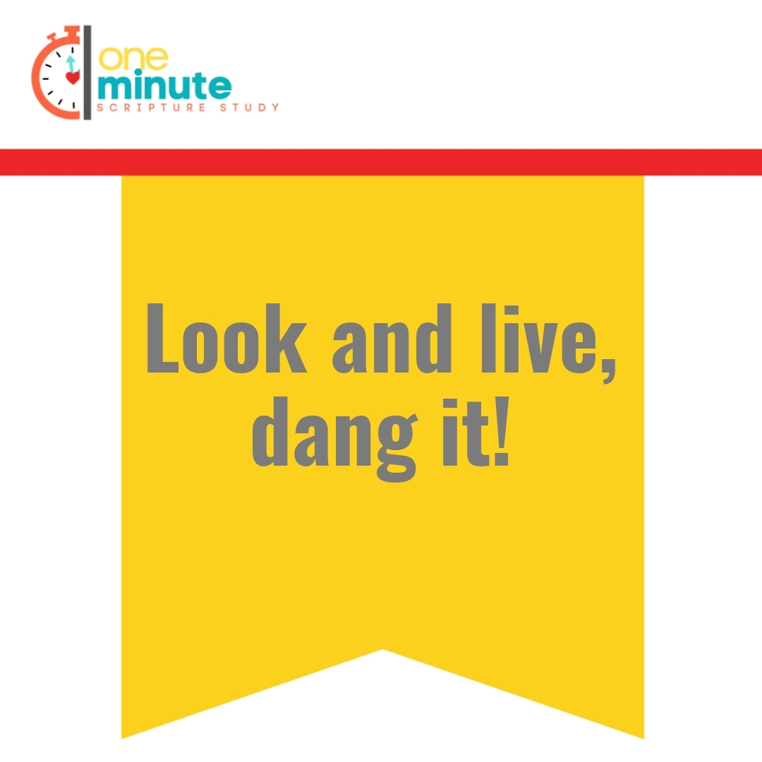 Read more about the article Look and live, dang it!
