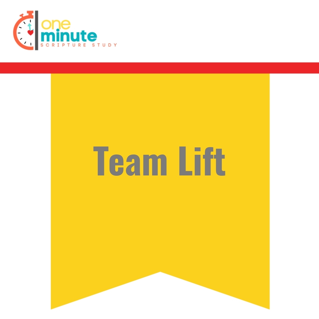 Read more about the article Team Lift