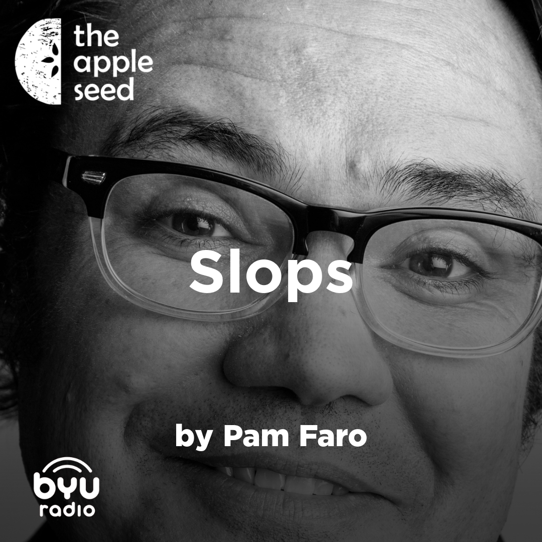 Read more about the article Slops