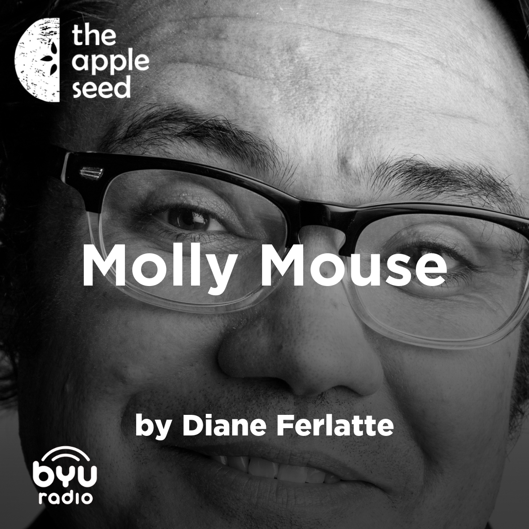 Read more about the article Molly Mouse