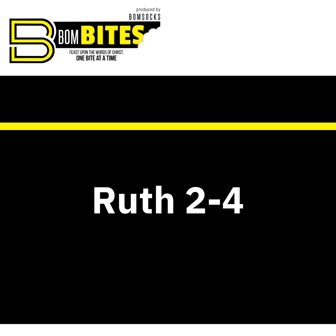 Read more about the article Ruth 2-4