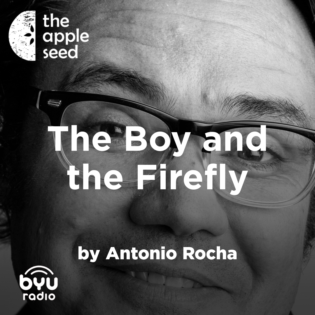 Read more about the article The Boy and the Firefly