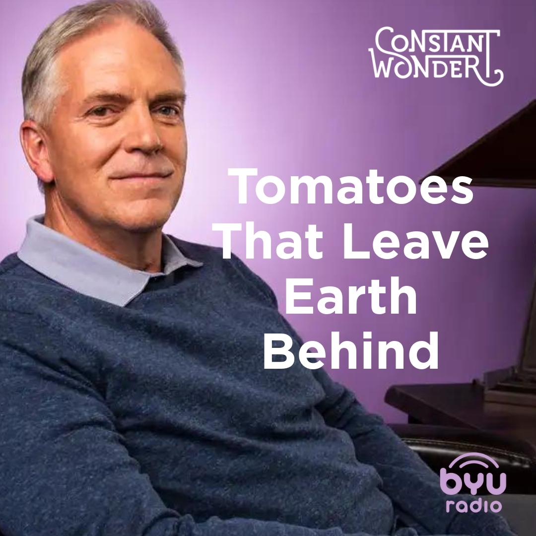 Read more about the article Tomatoes That Leave Earth Behind