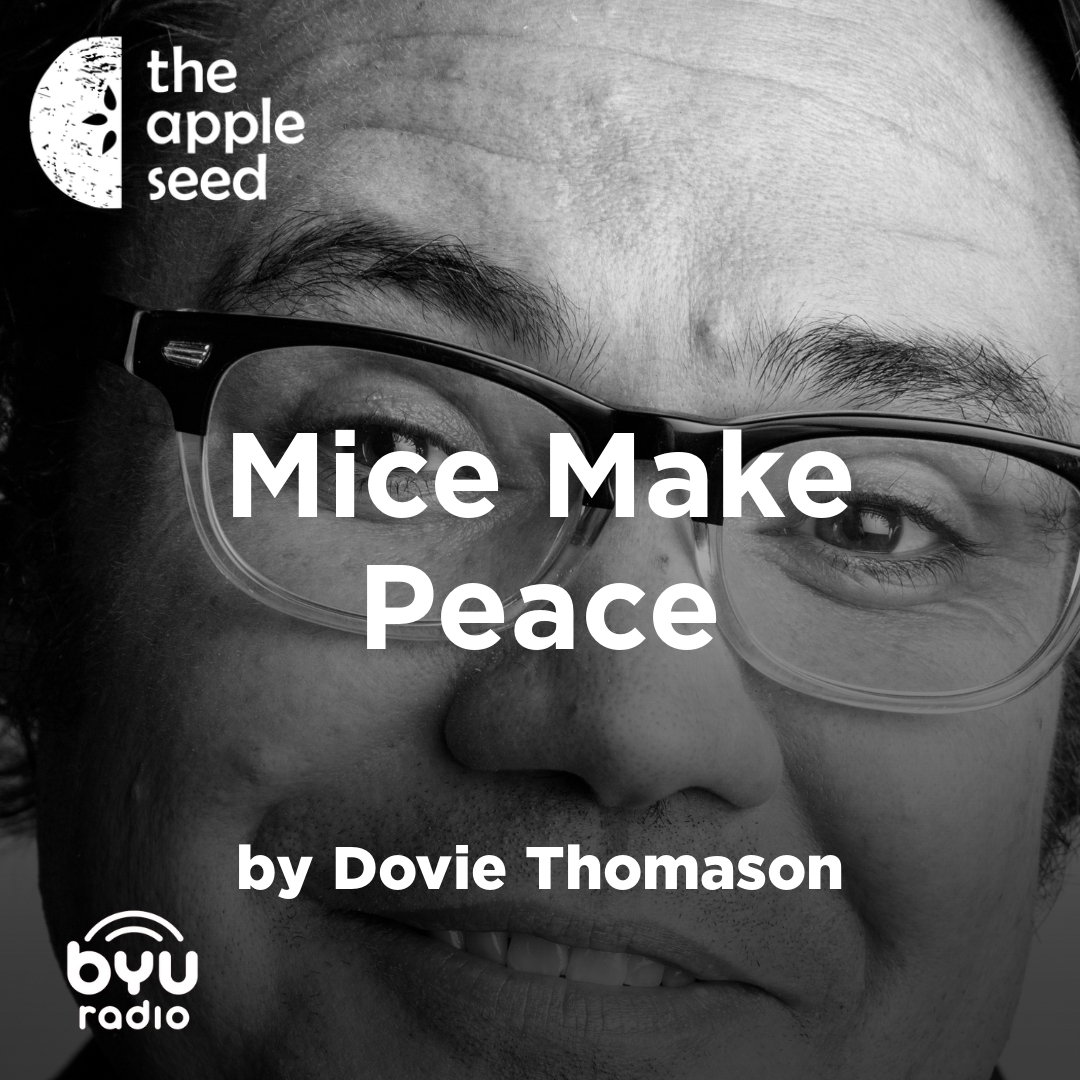 Read more about the article Mice Make Peace