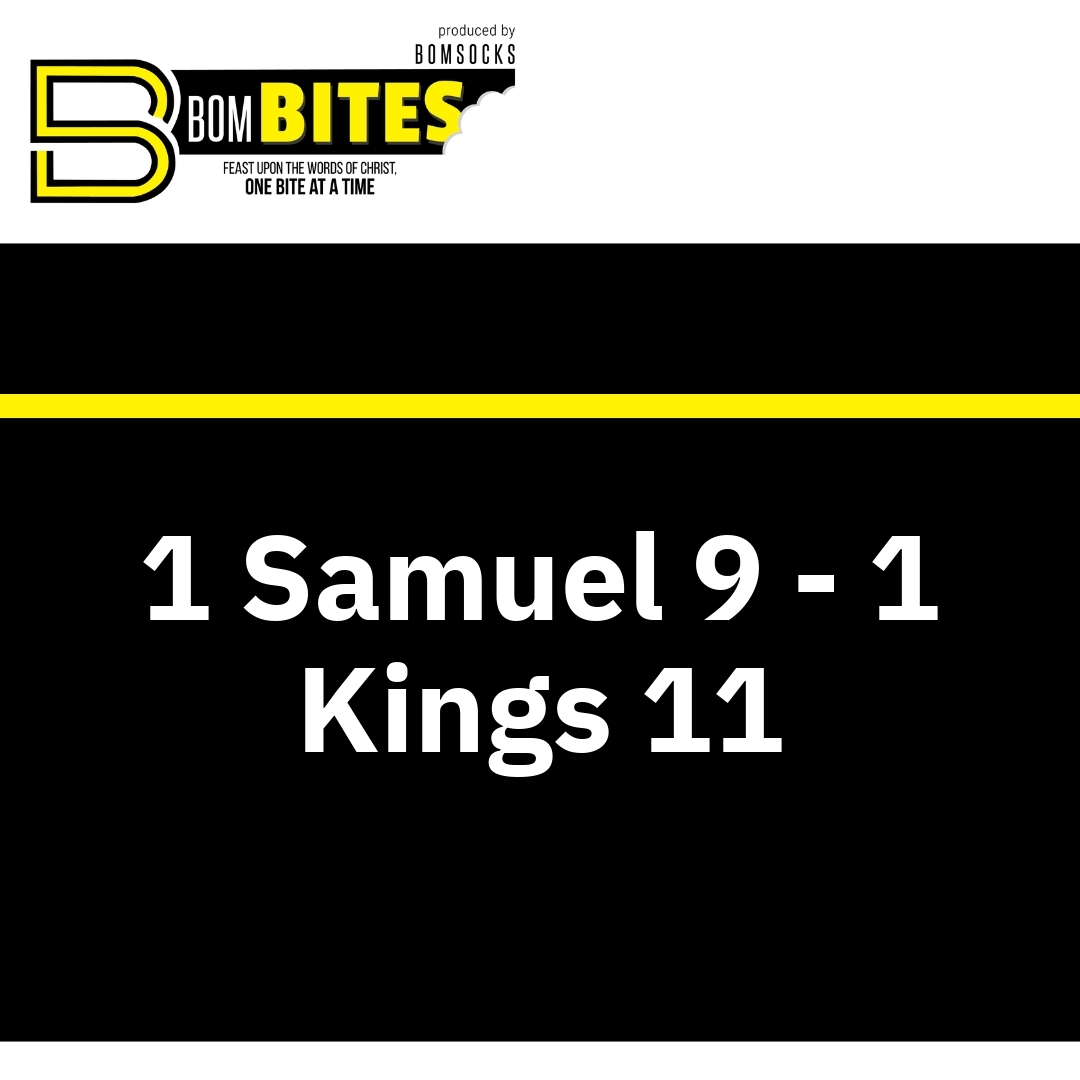 Read more about the article 1 Samuel 9 – 1 Kings 11