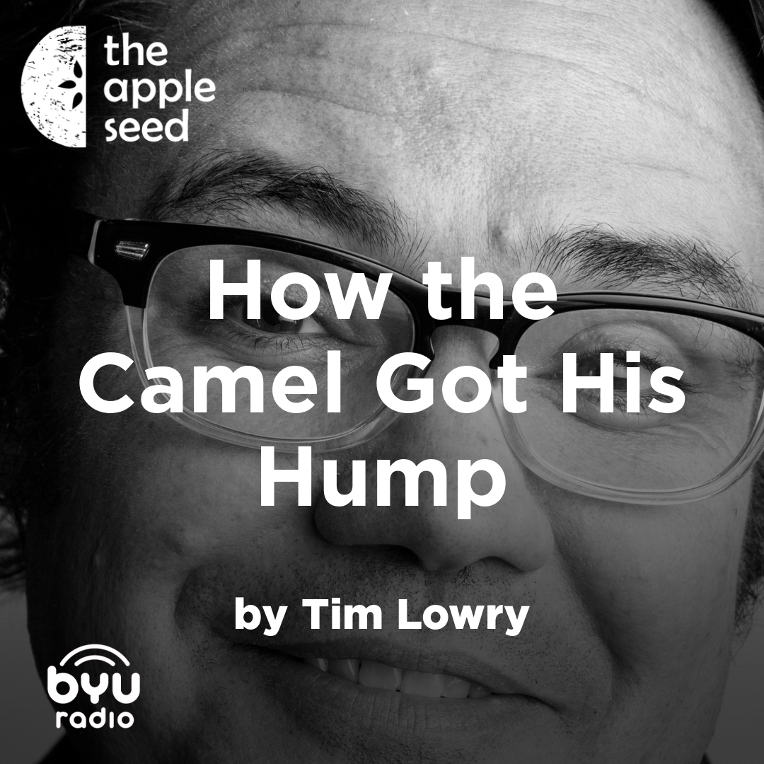 Read more about the article How the Camel Got His Hump