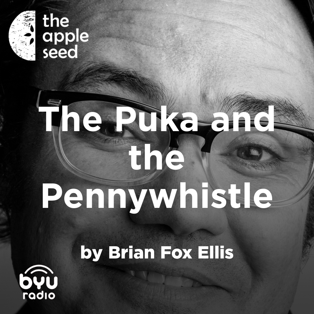 Read more about the article The Puka and the Pennywhistle