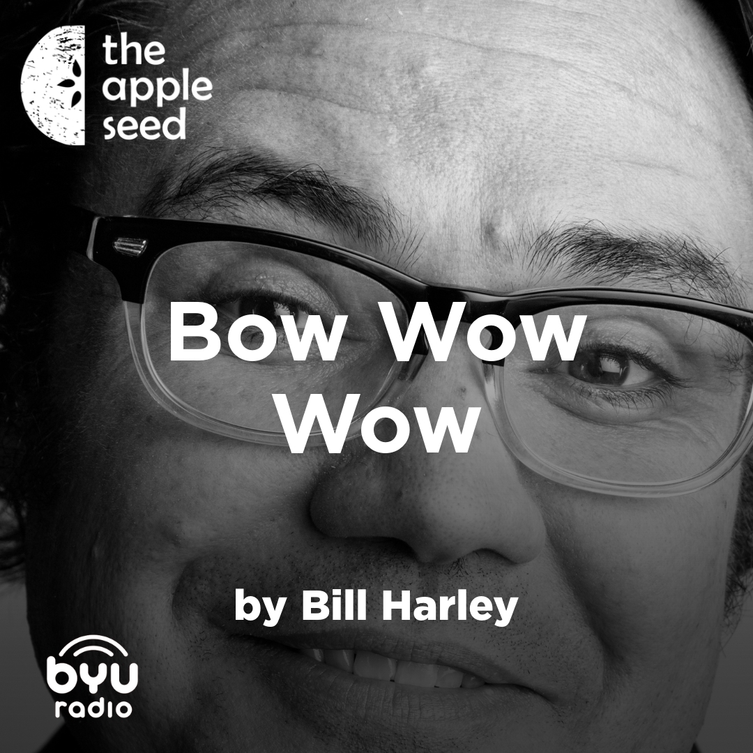 Read more about the article Bow Wow Wow