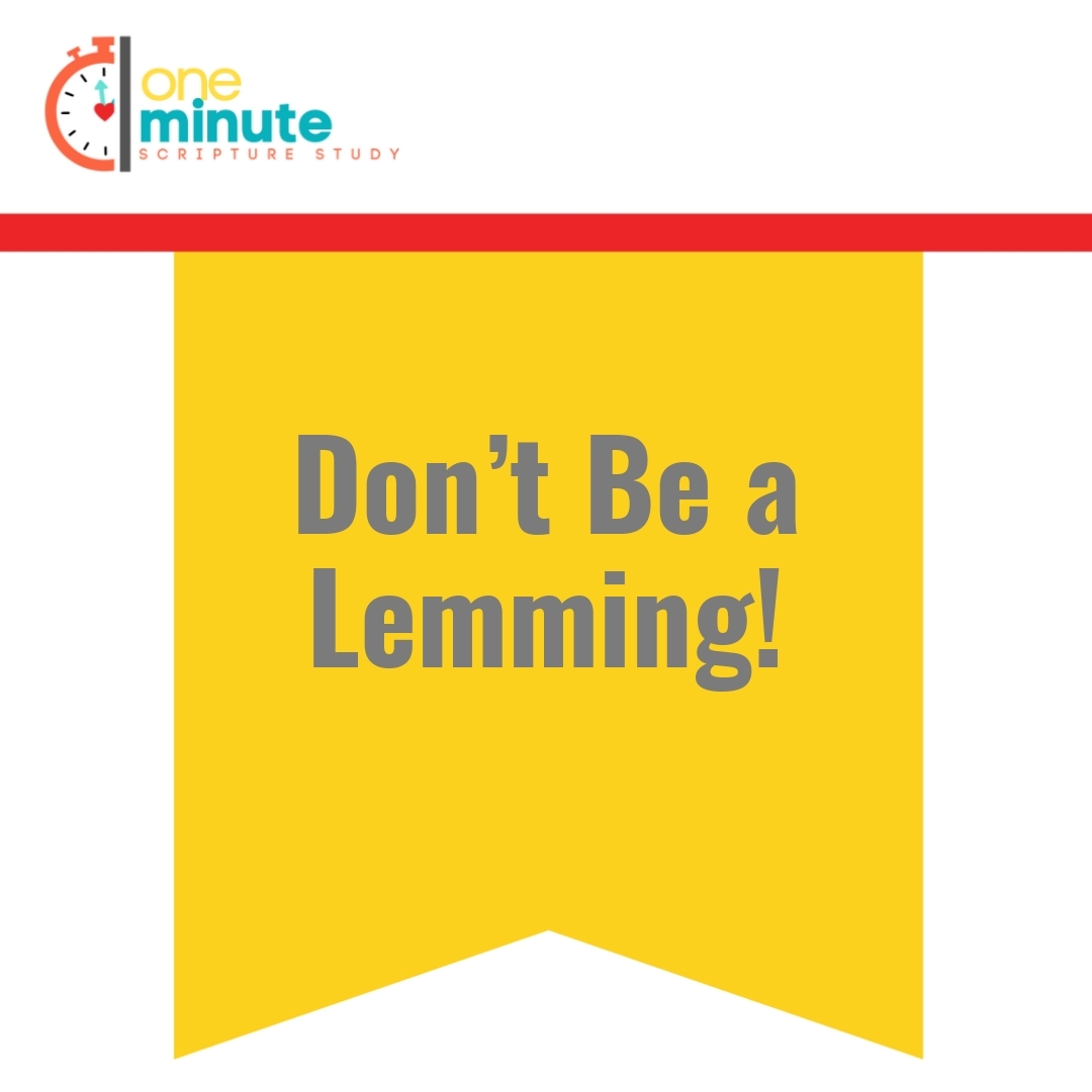Read more about the article Don’t Be a Lemming!