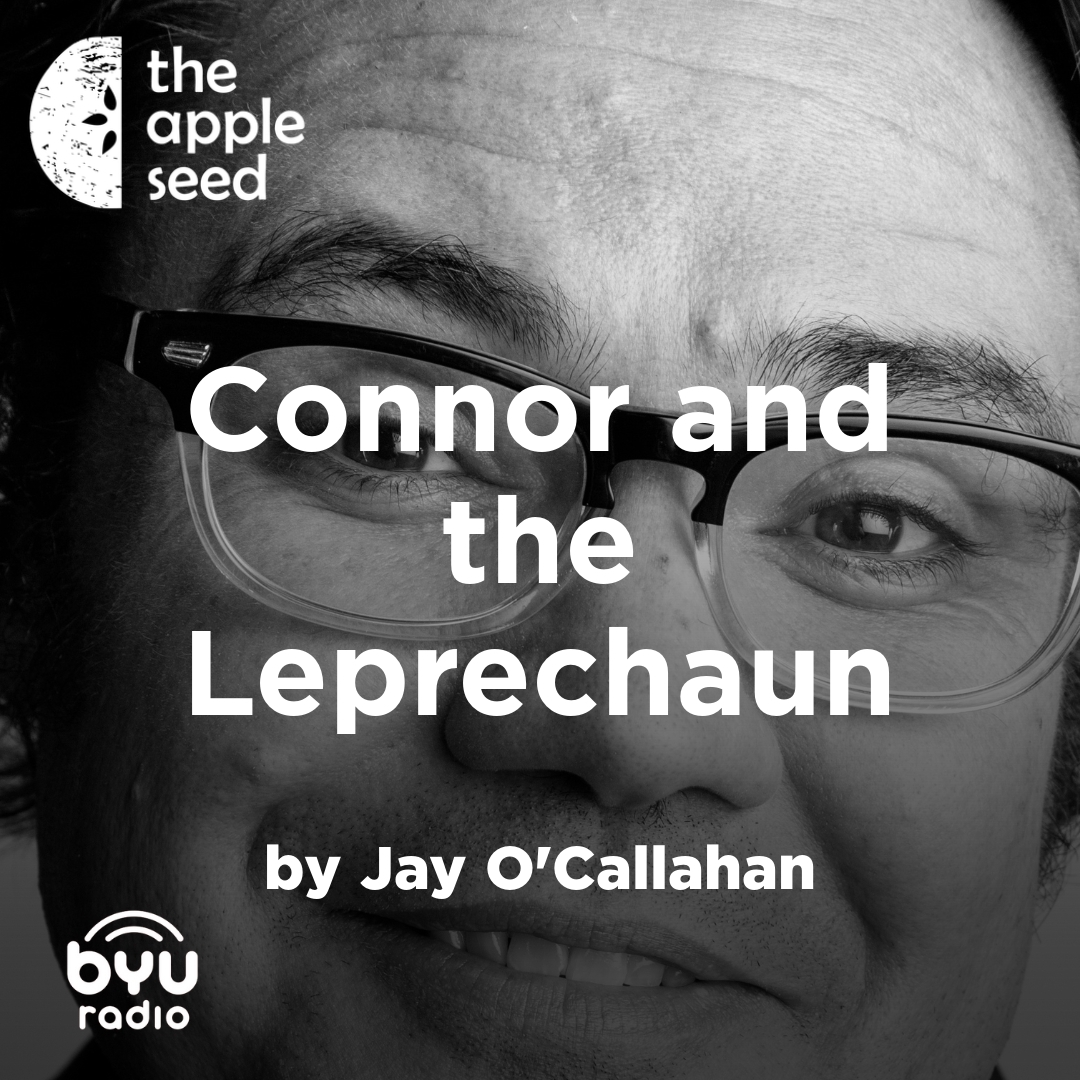 Read more about the article Connor and the Leprechaun