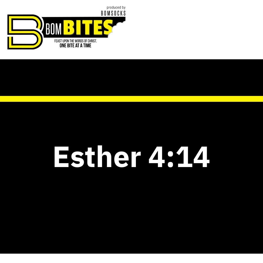Read more about the article Esther 4:14