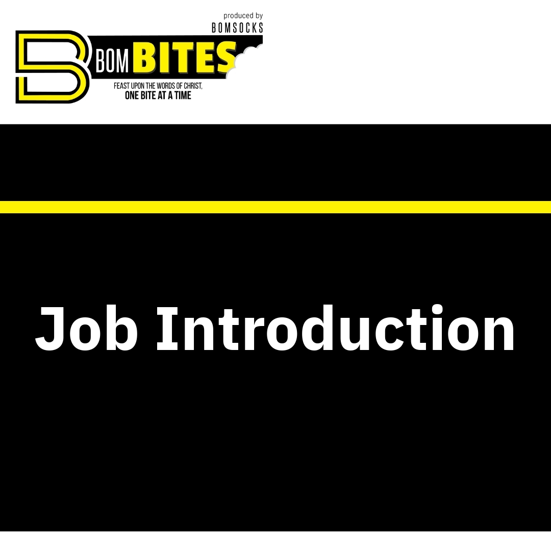 Read more about the article Job Introduction