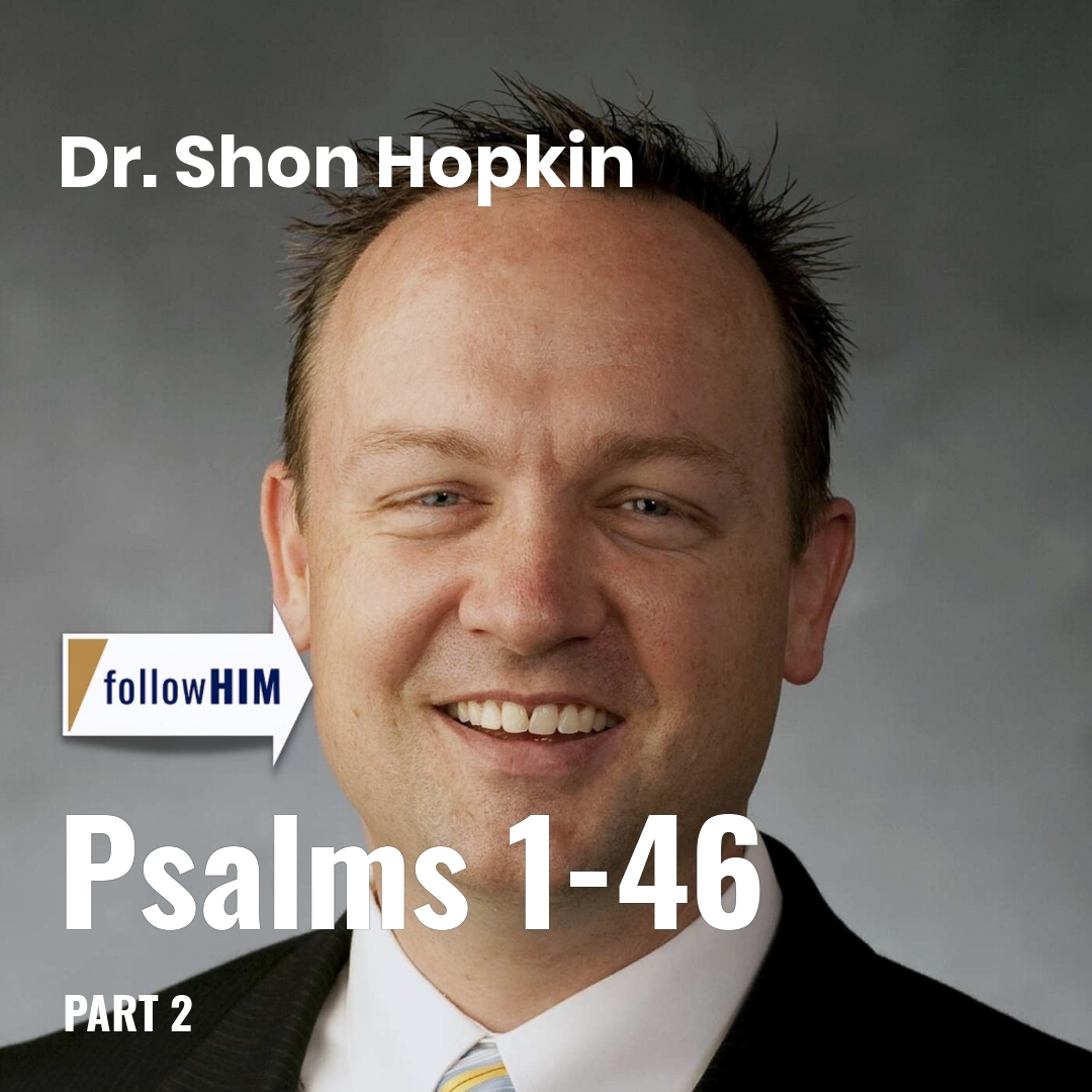 Read more about the article Psalms 1-46: Part 2