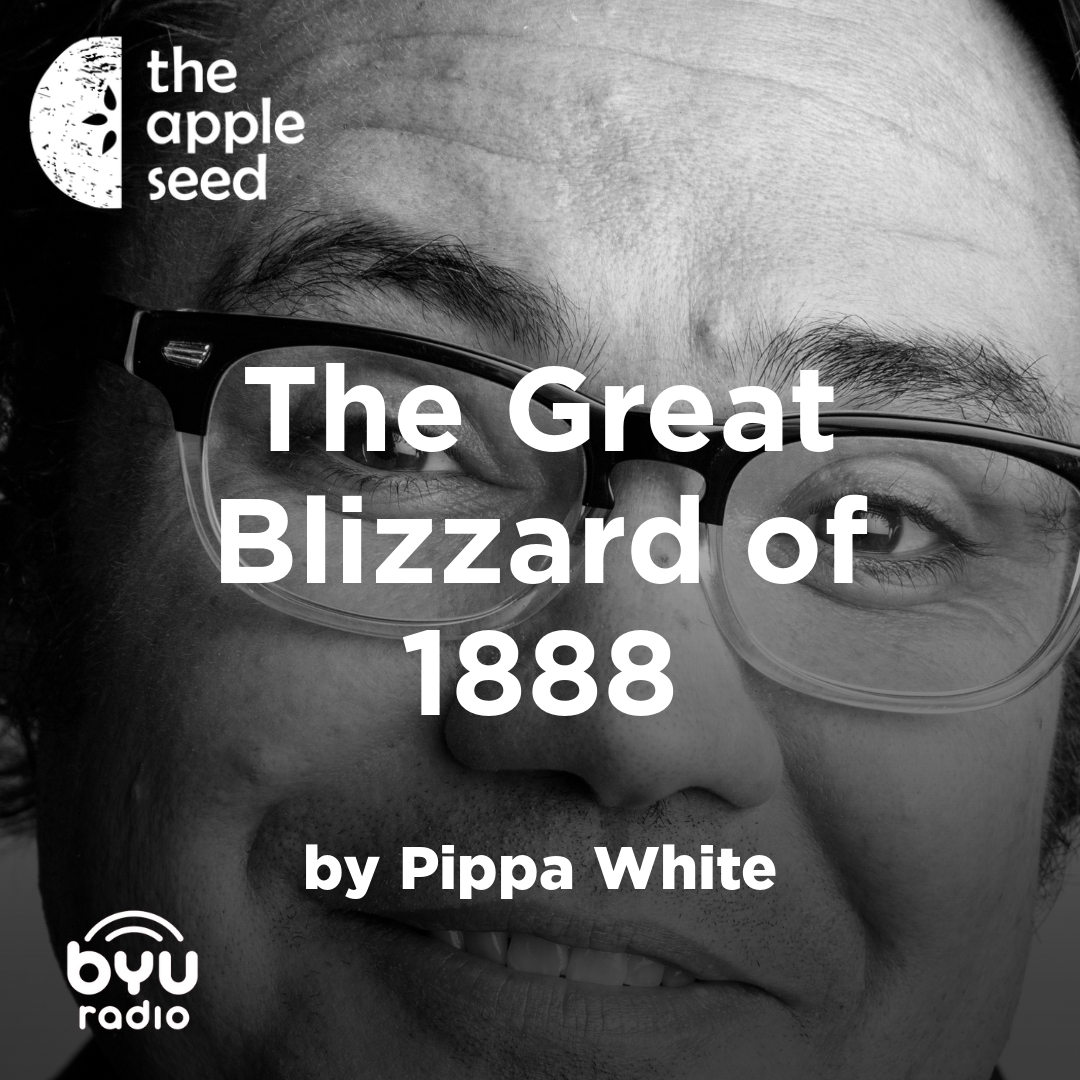 Read more about the article The Great Blizzard of 1888