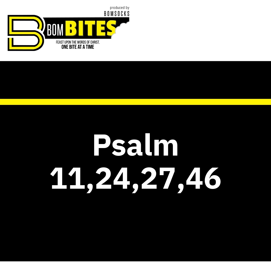 Read more about the article Psalm 11,24,27,46