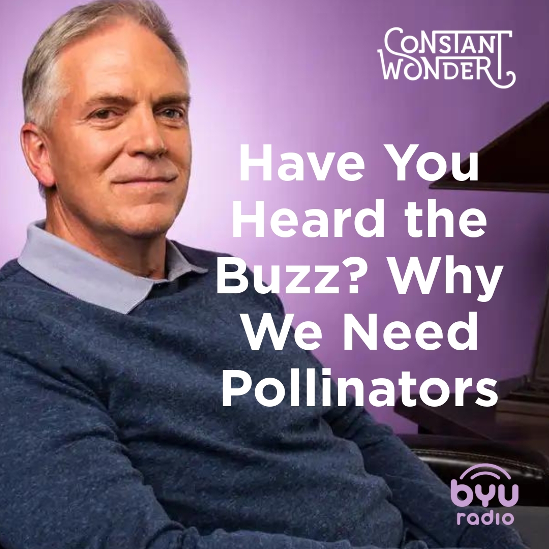 Read more about the article Have You Heard the Buzz? Why We Need Pollinators