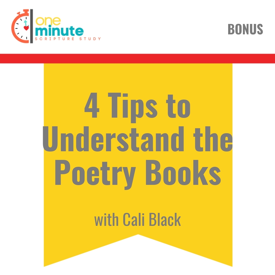 Read more about the article 4 Tips to Understand the Poetry Books