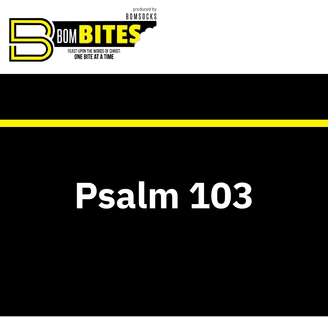 Read more about the article Psalm 103