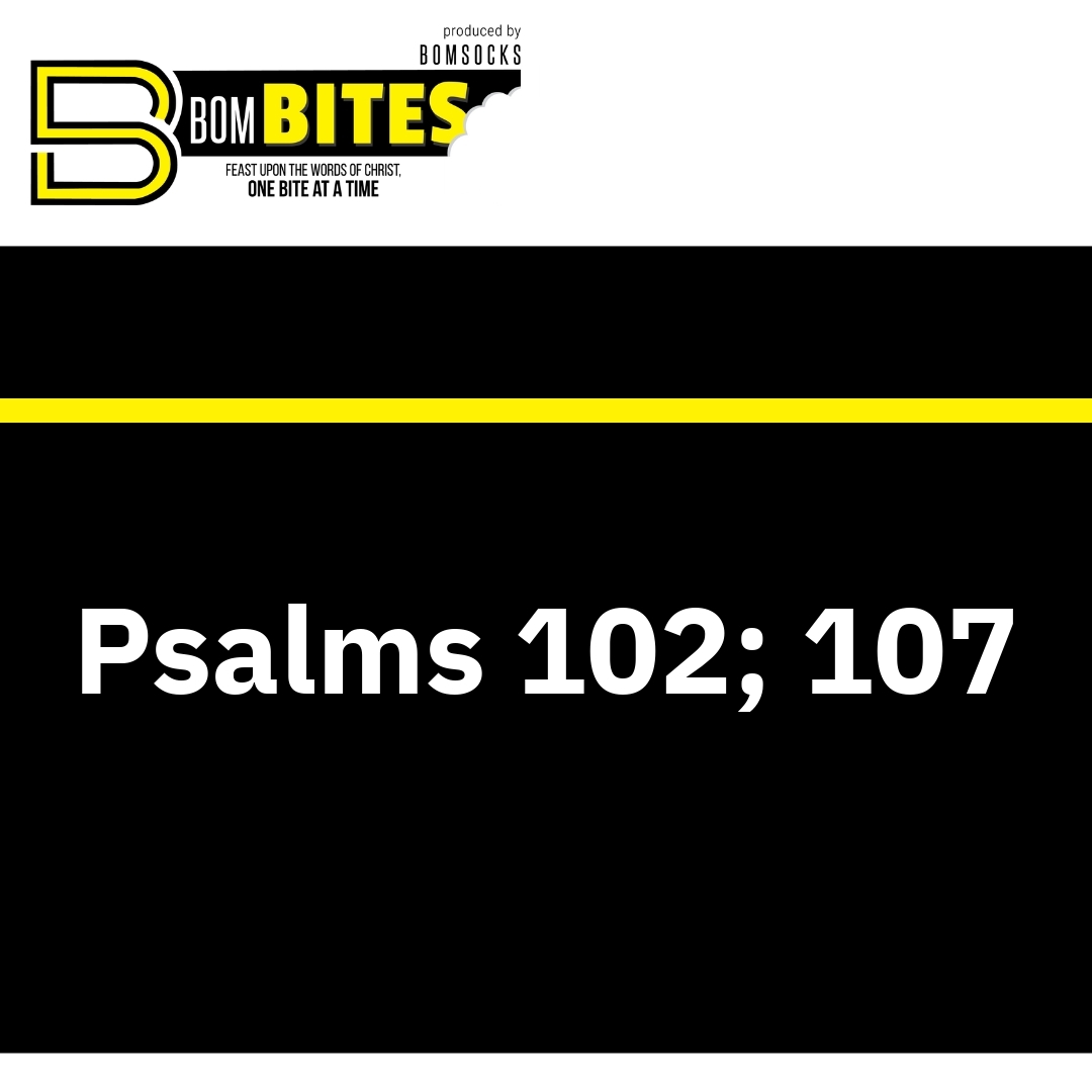 Read more about the article Psalms 102; 107