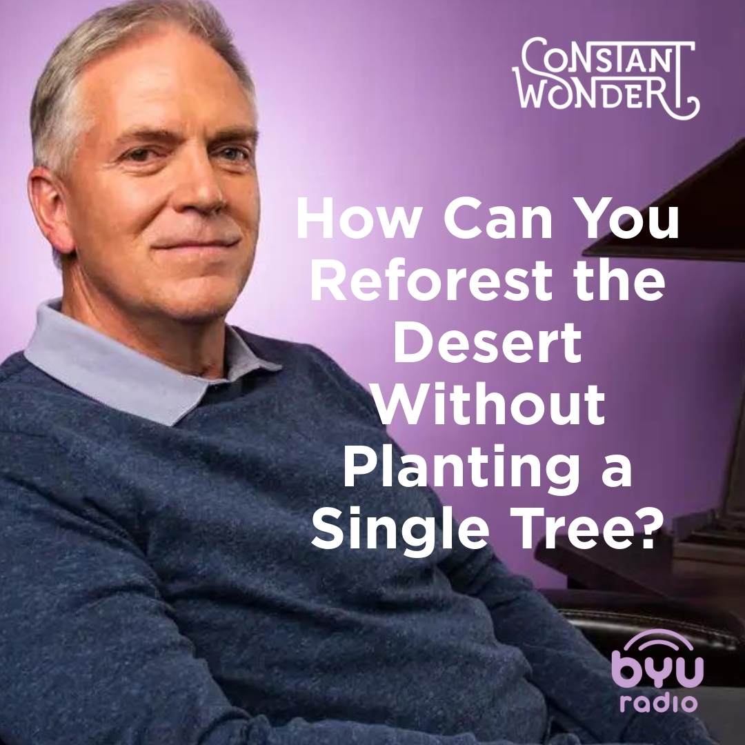 Read more about the article How Can You Reforest the Desert Without Planting a Single Tree?