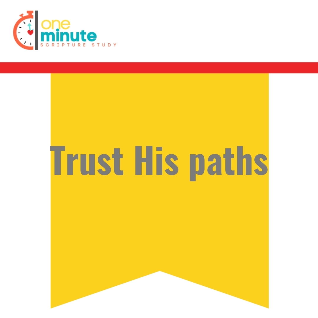 Read more about the article Trust His paths
