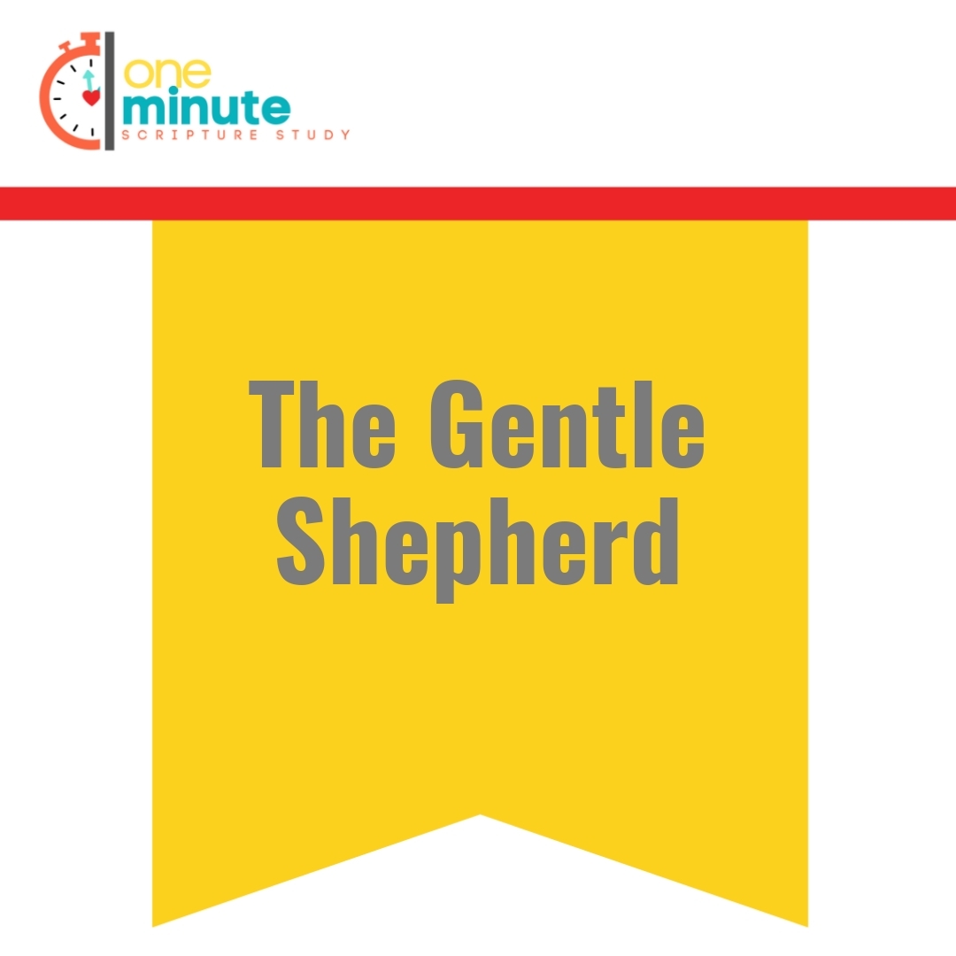 Read more about the article The Gentle Shepherd