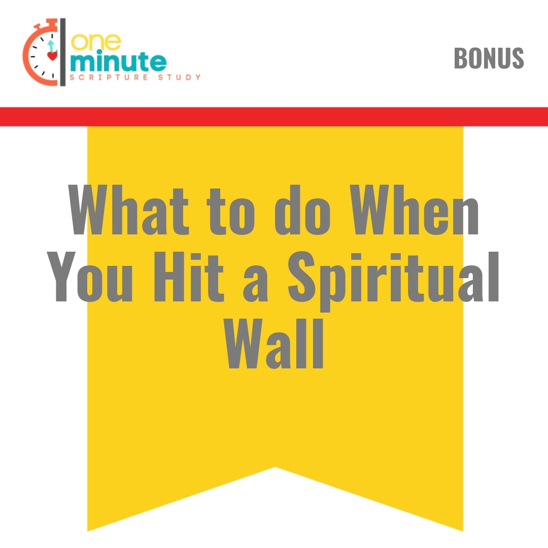 Read more about the article What to do When You Hit a Spiritual Wall